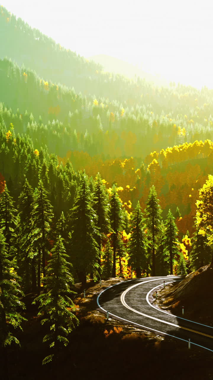 가을의 숲 을 가로질러 경치 좋은 휘어지는 길