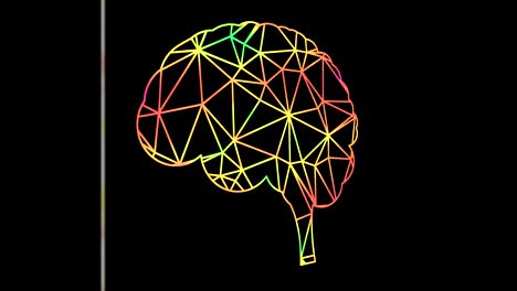 colorful animation of human brain scanning