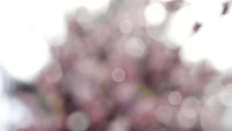 fondo de verano abstracto con bokeh