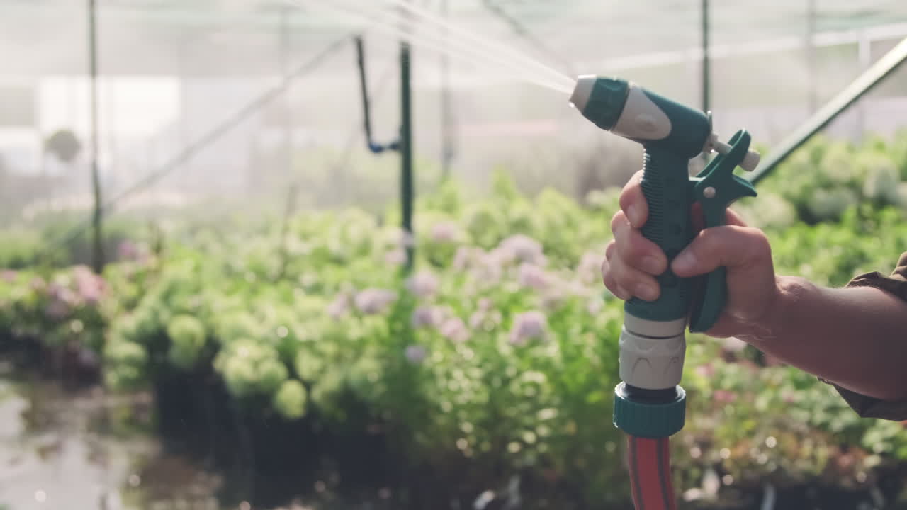 regar las plantas en un invernadero