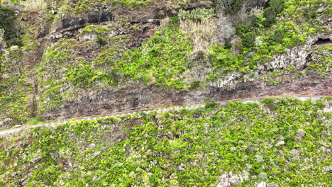 pintoresca carretera costera junto a un acantilado tallada en una empinada ladera de montaña