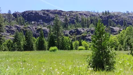 Montañas-Con-Prados-Pacíficos-Hierba-Que-Se-Balancea-En-La-Suave-Brisa-De-Verano-Del-Bosque-Nacional-Tahoe