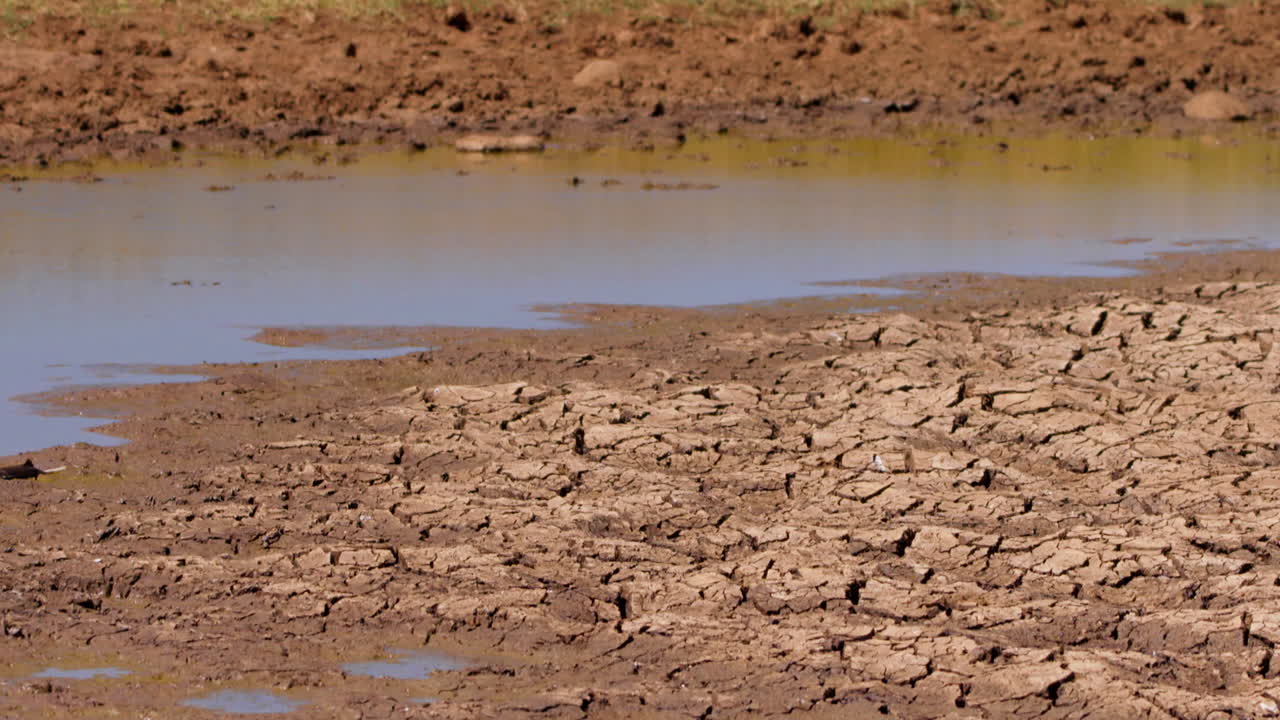 Plano inclinado amplio hacia arriba de una poza de agua secándose en una tarde calurosa en Kenia