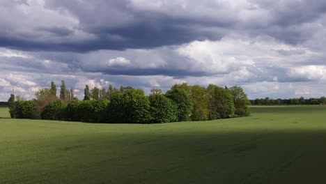 Drohne-Stürzt-In-Bäume-Und-Schießt-Sommerlandschaft