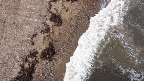 Cold-North-Sea-water-comes-up-onto-seaweed-covered-beach-in-England