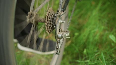 close-up of individual standing next to parked bicycle in grassy field, the individual lifts the rear tire slightly and pedals briefly, causing the tire to rotate, with a blurred