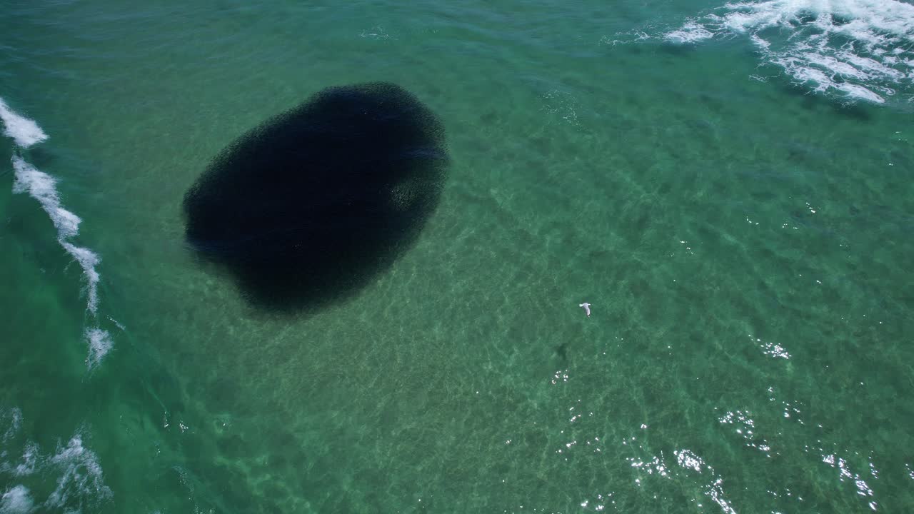 Onde dell'oceano su banco di esche a Pottsville Beach, Nuovo Galles del Sud, Australia - Scatto con drone