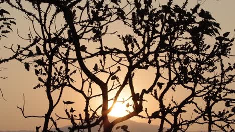 Aufschlussreiche-Sonnenaufgangsaufnahme.-Standort:-Bisle-Ghat-Ka,-Indien