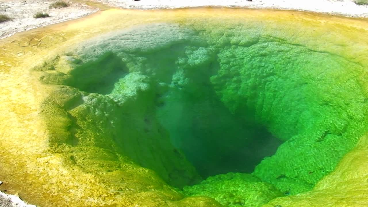 una piscina verde humeante de agua en el parque nacional de yellowstone 1