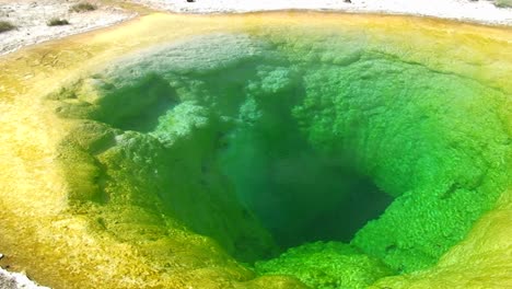 黃石國家公園 (yellowstone national park) 的綠色煙水池