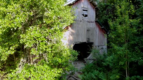 Rising-aerial-footage-of-old,-abandoned-and-ruined-wooden-lodge-all-overgrown-by-nature-in-the-wilderness