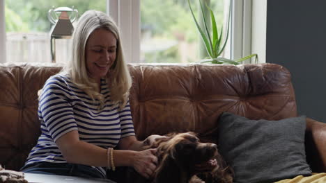 portrait of a smiling woman on a couch