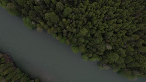 Río-Que-Fluye-En-La-Selva-Tropical-De-Columbia-Británica