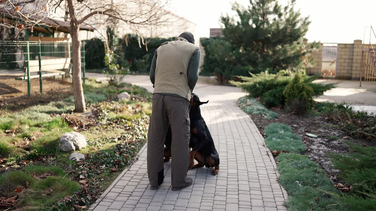 Rear view of a man with two dobermans near the country house, giving them threats