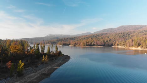 Aerial-shot-of-blue-lake-surrounded-by-pine-trees