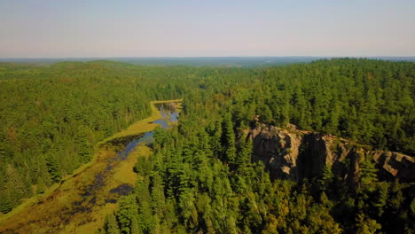 Wunderschöne-4K-Luftaufnahme-über-Einem-Kiefernwald-Und-Einem-Sumpfigen-Fluss