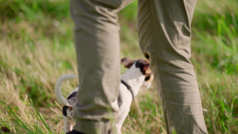 Hündchen-Bekommt-Auf-Einem-Feld-Einen-Snack-In-Der-Hand