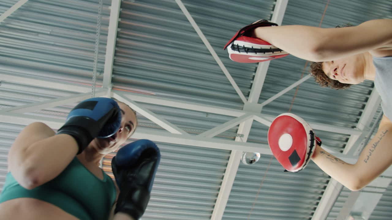 권투 훈련 세션