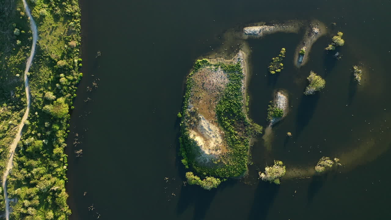 Aerial tilt down of Vogelmeer in Kennemerland, The Netherlands