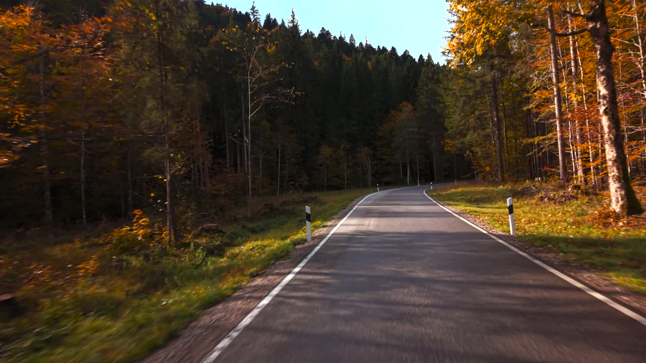 Strada autunnale che attraversa Ammerwald vicino a Plansee con uno scenario forestale colorato nelle Prealpi austriache