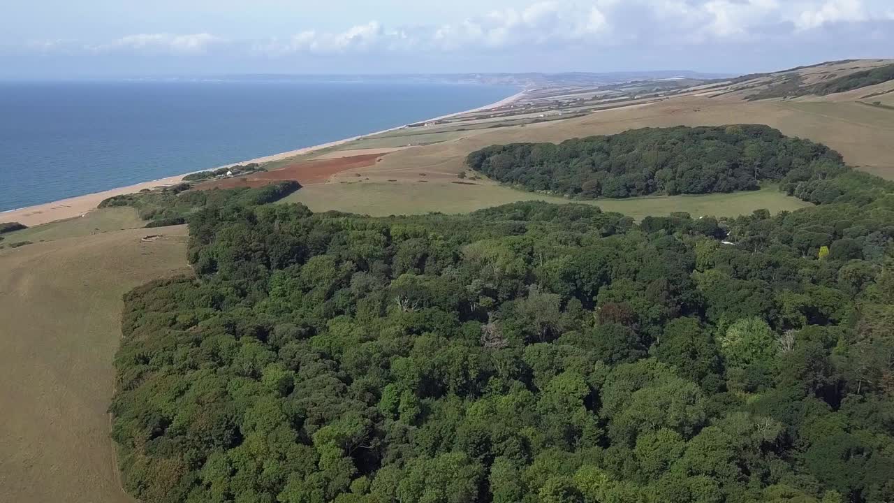 Coastal Forest Landscape