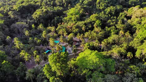 Aerial-view-around-a-campsite,-in-middle-of-palm-trees-and-jungle,-in-Tayrona-national-natural-park,-golden-hour,-in-Caribbean-Colombia,-South-America---orbit,-drone-shot