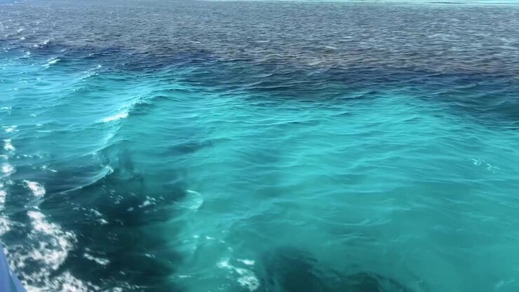 Barca che si muove attraverso un vibrante mare turchese, lasciando una scia bianca nelle acque costiere egiziane.