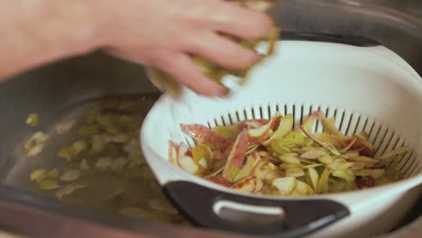 Removing-organic-potato-skins-from-sink