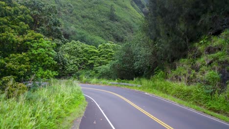 Green trees and lush vegetation on tranquil Iao valley in Hawaii alongside asphalt road driving to camping, aerial descending view