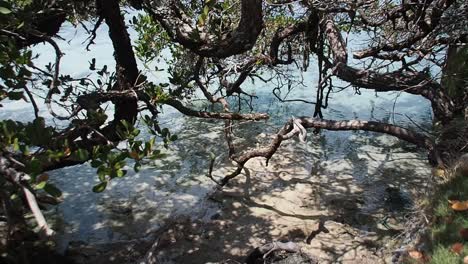 harrington sound - bermuda puerto flats