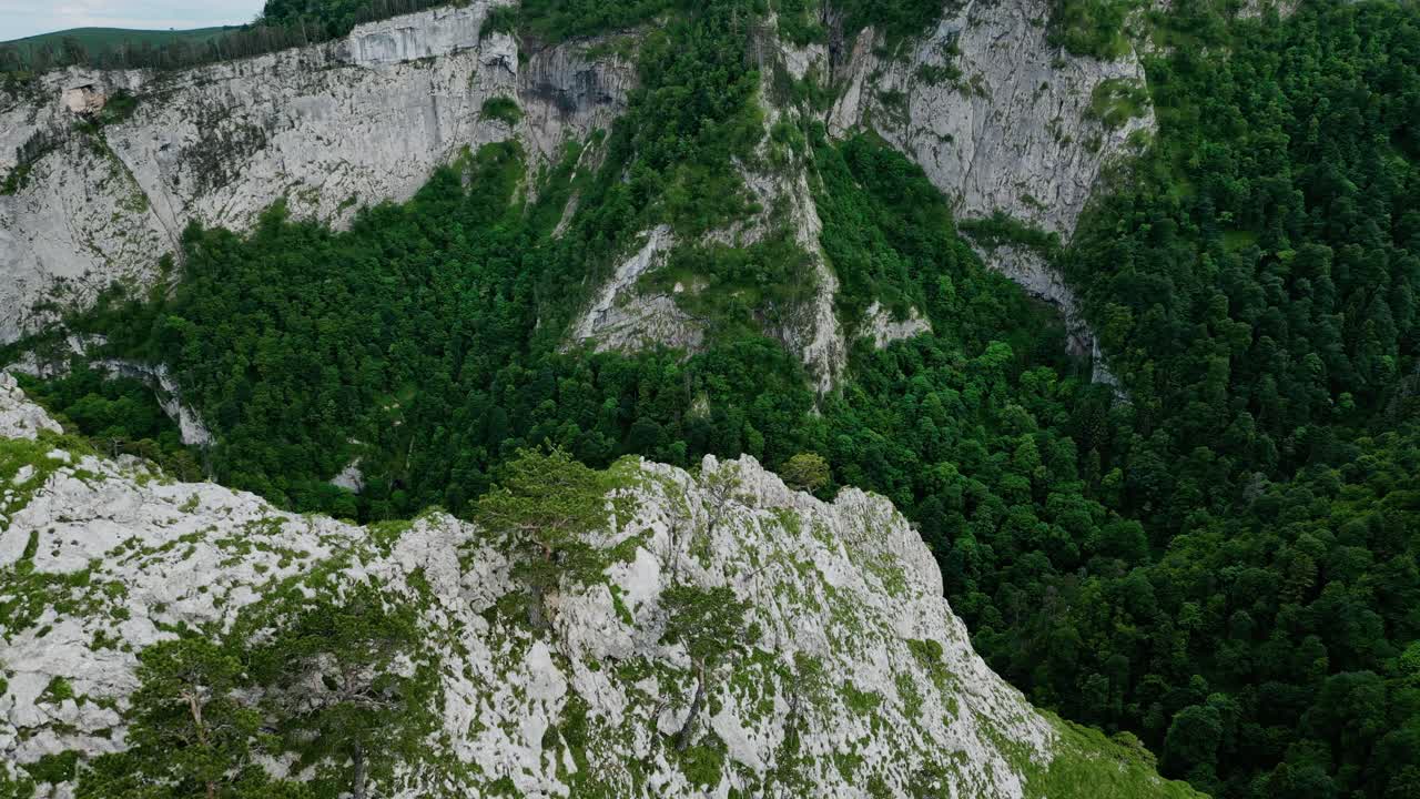 acantilados rocosos empinados cubiertos de musgo verde y bosque de valle en vietnam