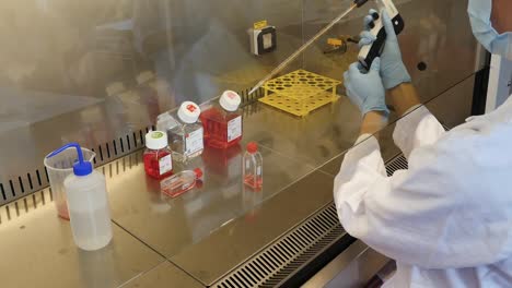 investigador trabajando en un gabinete de bioseguridad