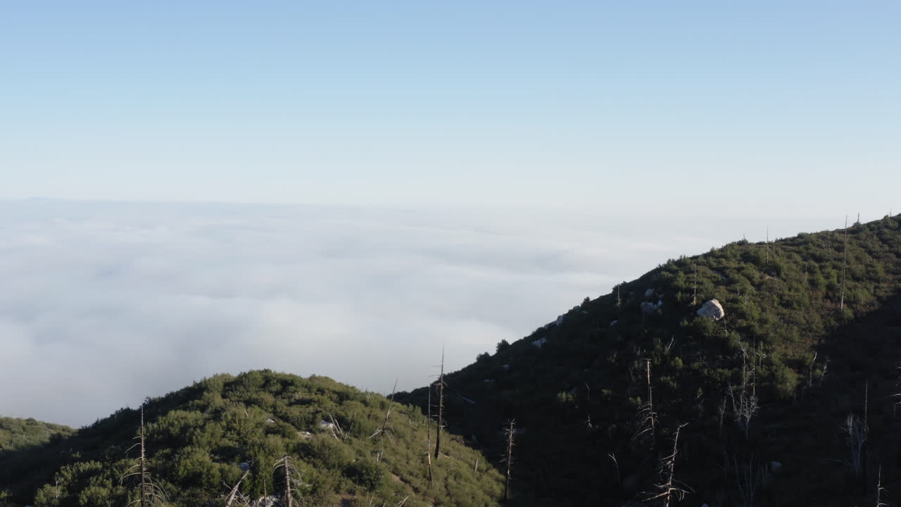 죽은 나무가 있는 언덕 위를 공중으로 날고, 지평선을 뻗은 광활한 구름 바다
