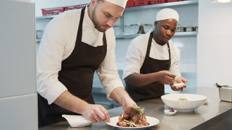 two diverse male chefs decorating meals in kitchen, slow motion