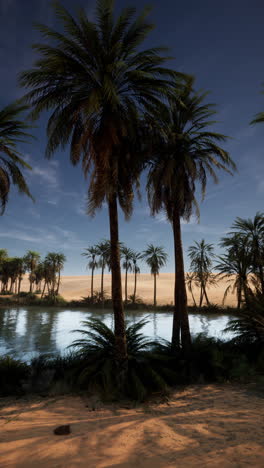 stunning view of an oasis in the desert with palm trees and a river