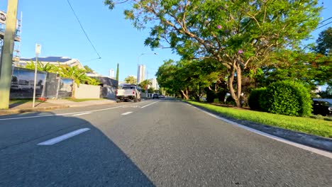 a scenic drive along a tree-lined road