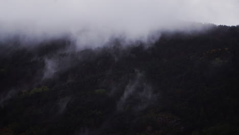 timelapse shot of mist forming in the dense