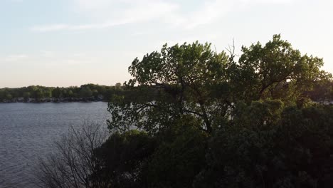 Aerial-wide-shot-of-a-bald-eagle's-nest-silhouetted-in-a-tree-on-lake