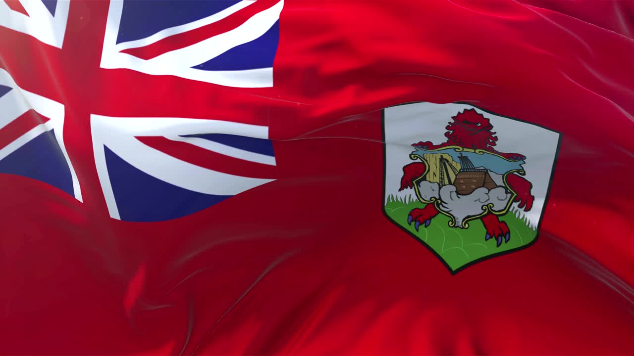 베르무다 발은 느린 동작으로 고전적인 발, 바람이 불어오는 날에 바람에 부드럽게 부히고, 해가 뜨고, 4k 연속적인 원활한 루프 배경입니다.