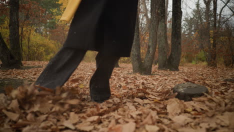 front leg view of an individual strolling through a forest, playfully kicking up dry leaves scattered on the ground, dressed in canvas shoes and black jeans