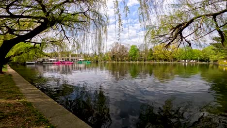 Lago-Chios-Desde-Central-Park-En-Cluj-Napoca