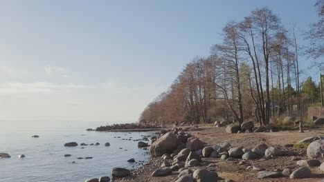 rocky beach shore with many boulders and blue sea nordic nature, naked trees