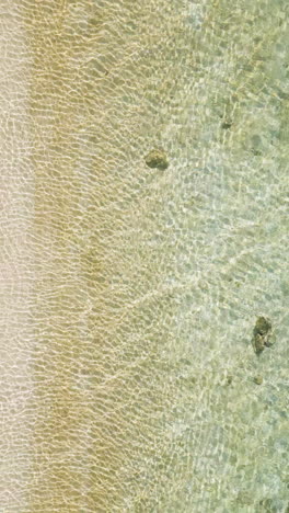 aerial top view of seascape with crystal clear water at beach in summer. vertical shot
