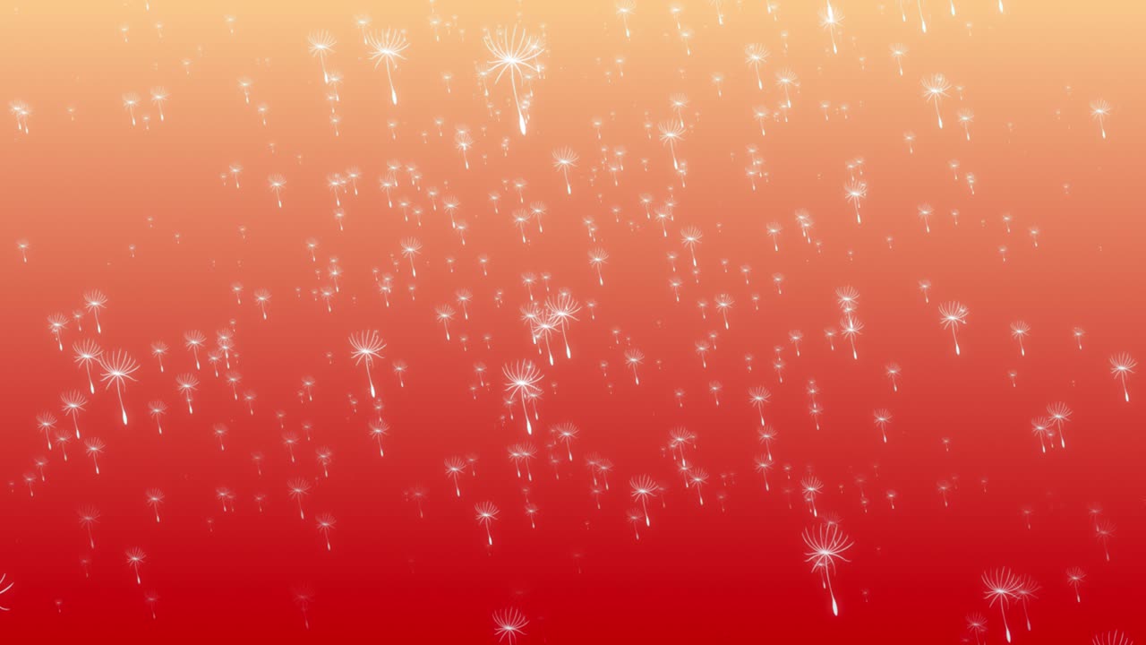 사탕수수 꽃은 하늘에서 부드러운 그라디언트 파스텔 배경 시각 효과 모션 그래픽 3d 동적 추상 오렌지 빨간색으로 떨어집니다.