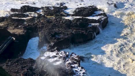 Un-Primer-Plano-De-Una-Bocina-En-La-Costa-De-Oregon