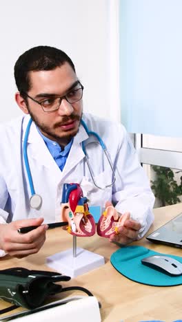 doctor cardiologist while consultation showing anatomical model of human heart.