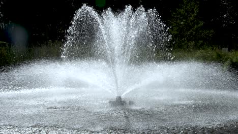 slow motion shot of water jets from the fountain