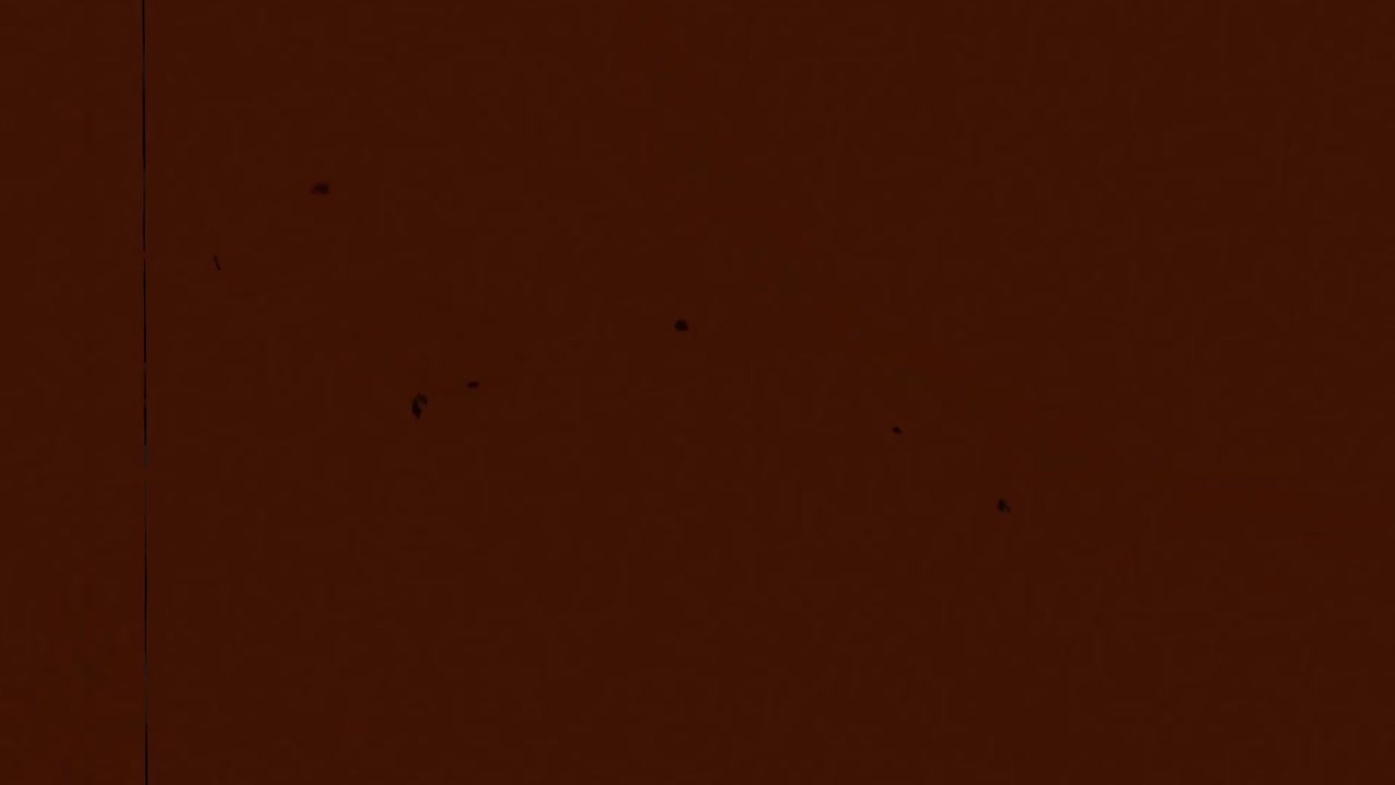 Sovrapposizione con grana della pellicola vintage e fughe di luce rosse e arancioni