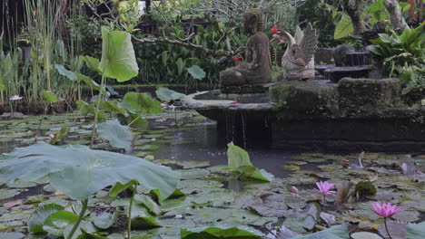 beautiful ornamental pond in garden in bali