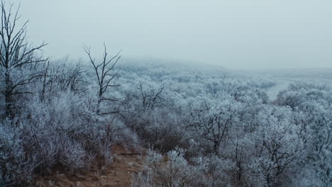 beautiful winter landscape of nature. white trees covered in hoarfrost in the forest. calm river among snowy trees of the wood.